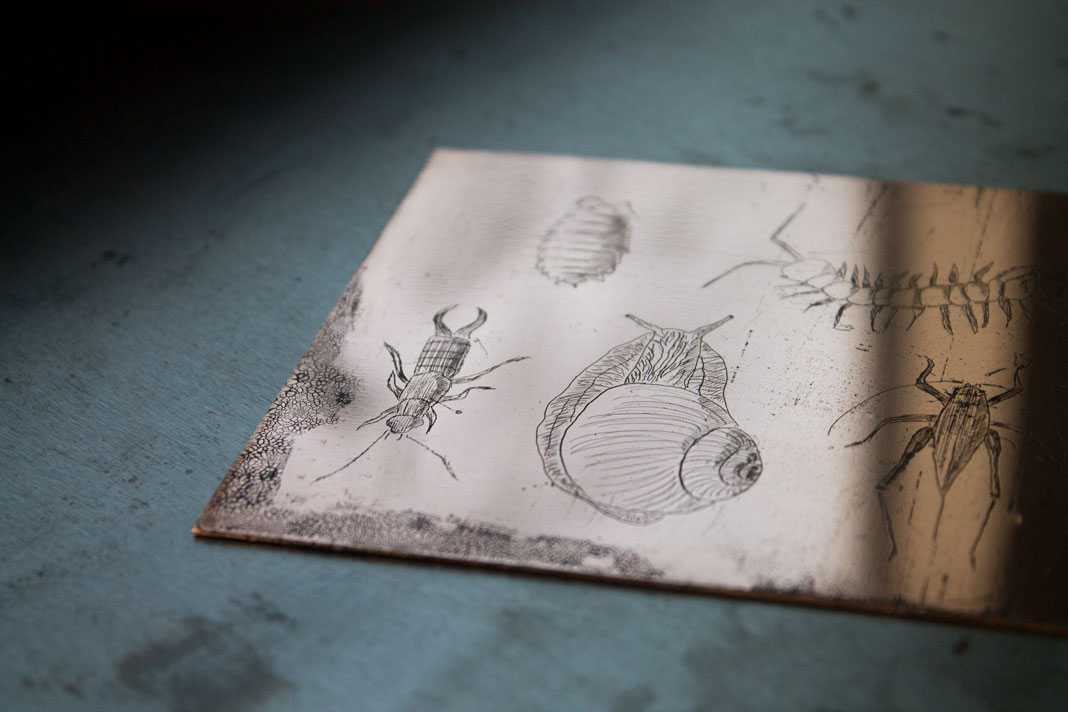 close up of a copper plate an its fine etched structure