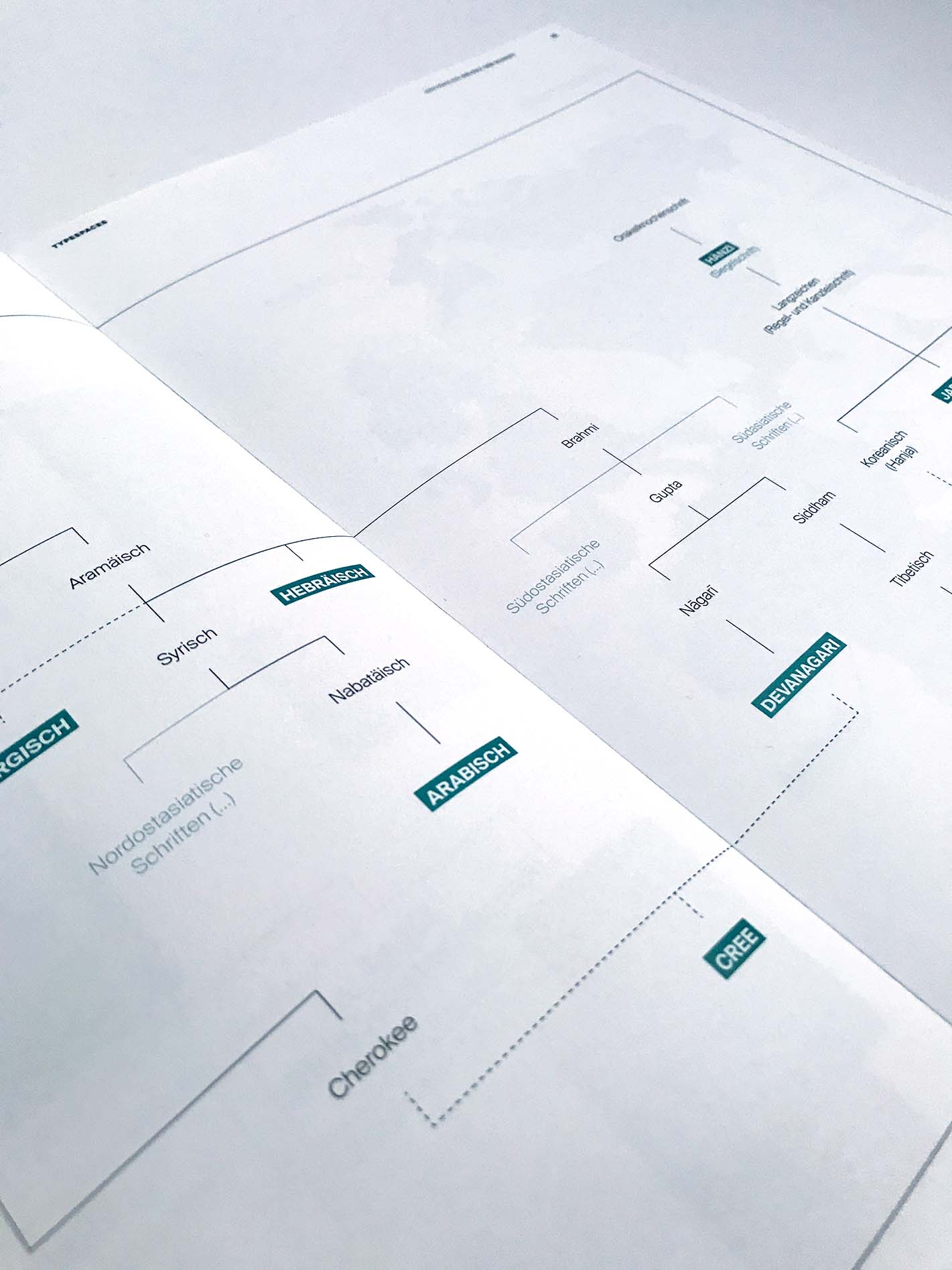 close up of a tree chart about writing history